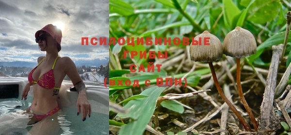 apvp Слюдянка