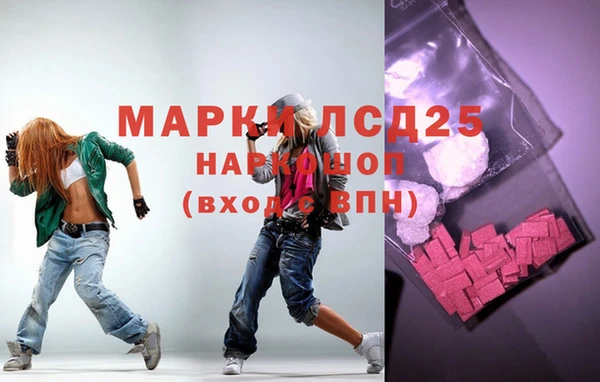 ГАЛЛЮЦИНОГЕННЫЕ ГРИБЫ Бородино