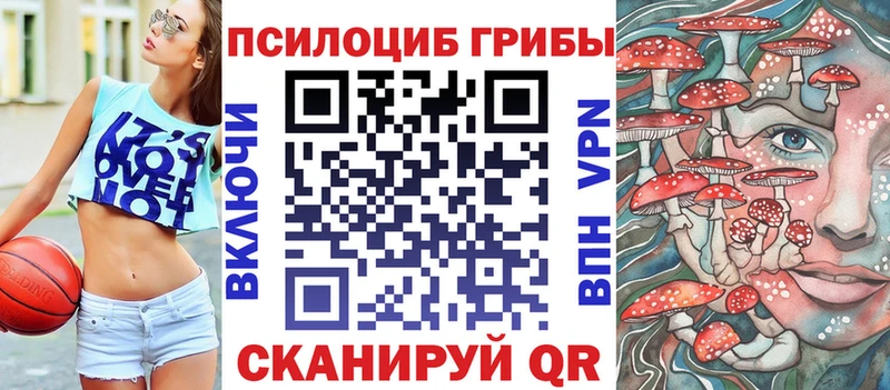 купить закладку  Тогучин  Галлюциногенные грибы ЛСД 